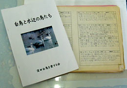 写真:白鳥の観察日誌