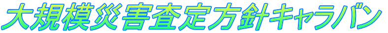 大規模災害査定方針キャラバン 