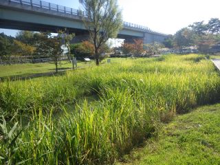 作業前