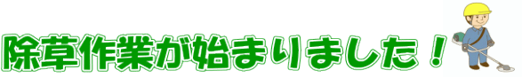  除草作業が始まりました！