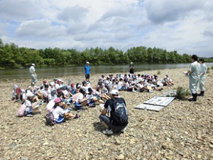 水生生物調査の様子