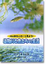 雄物川と魚たちの生活