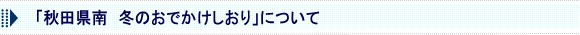 「秋田県南　冬のおでかけしおり」について