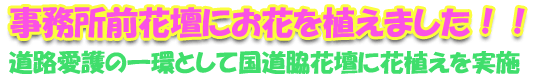 事務所前花壇にお花を植えました！！～道路愛護の一環として国道脇花壇に花植えを実施～