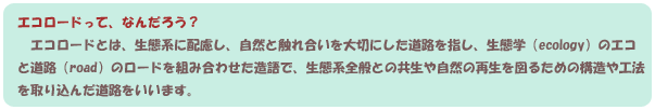 エコロードって何だろう？エコロードとは、生態系に配慮し、自然と触れ合いを大切にした道路を指し、生態学（ecology）のエコと道路（road）のロードを組み合わせた造語で生態系全般との共生や自然の再生を図るための構造や工法を取り込んだ道路をいいます。