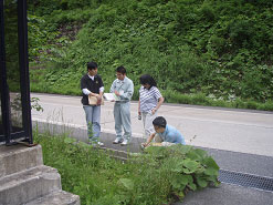 小動物のための脱出用側溝を説明