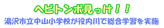 ヘビトンボ見っけ！！湯沢市立中山小学校が役内川で総合学習を実施