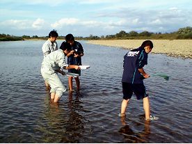 続いて、水生生物の採取