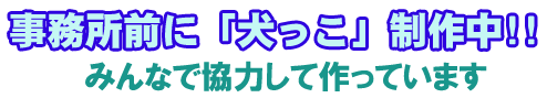 事務所前に「犬っこ」制作中!!