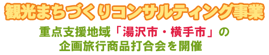 観光まちづくりコンサルティング事業