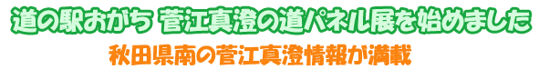 道の駅おがち　　菅江真澄の道パネル展を始めました