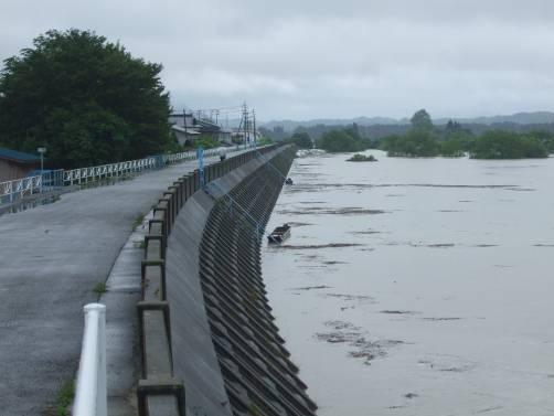 増水している雄物川