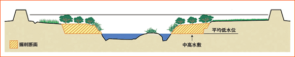 中流部横断図(有堤部)