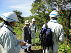 有識者による伐採前の現地確認及び指導・助言