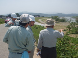 有識者による伐採後の現地確認