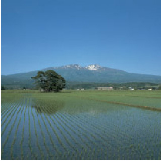 田園