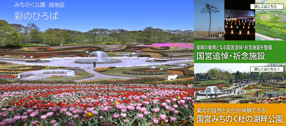 東北国営公園事務所イメージ写真