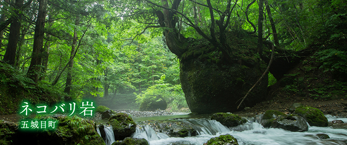 五城目町