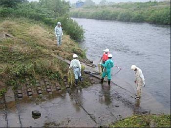 排水溝をつたって河川へ流入する