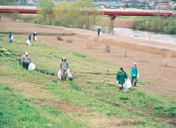 排水溝をつたって河川へ流入する