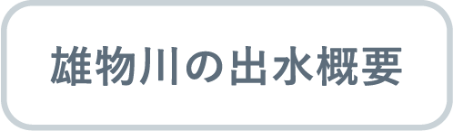 雄物川の出水概要