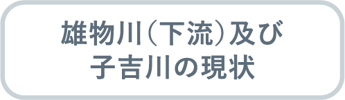 雄物川（下流）及び子吉川の現状