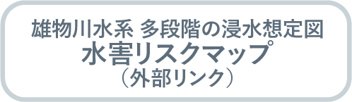 雄物川水系　多段階の浸水想定図　水害リスクマップ