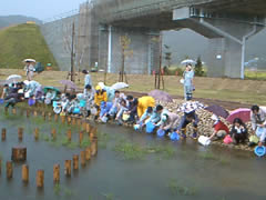 さあ、ここなら安心だよ