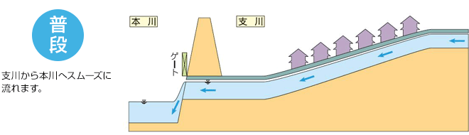 普段は支川から本川へスムーズに流れます。