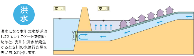 洪水になり本川の水が逆流しないようにゲートを閉めたあと、支川に洪水が発生すると支川の水は行き場を失いあふれ出します。