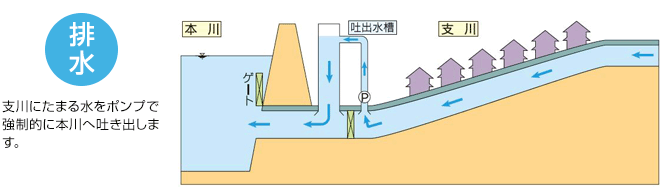 支川にたまる水をポンプで強制的に本川へ吐き出します（排水）。