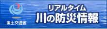 リアルタイム川の防災情報