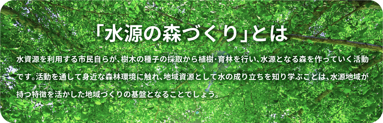 「水源の森づくり」とは