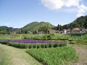 前沢ふるさと公園