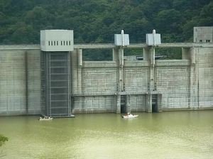 7月の大雨の影響で湖面が多少濁っていました(湖面巡視体験)