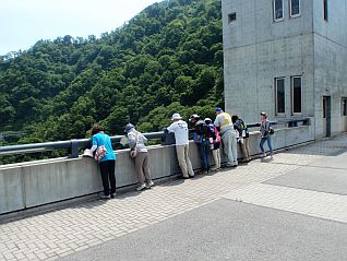 天端からダム下流をのぞき込む