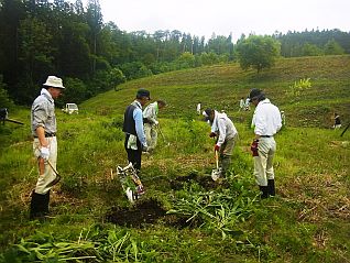 広葉樹を植樹