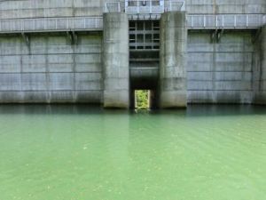 常用洪水吐の眺め