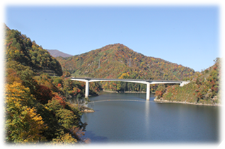 ながい百秋湖展望所からみた竜神大橋