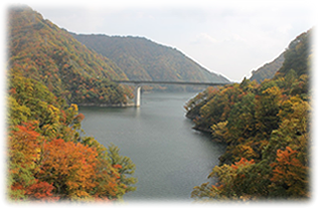 折草沢橋からみた竜神大橋