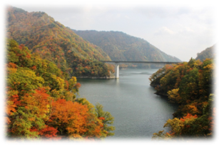 折草沢橋から見た竜神大橋（10月20日撮影）