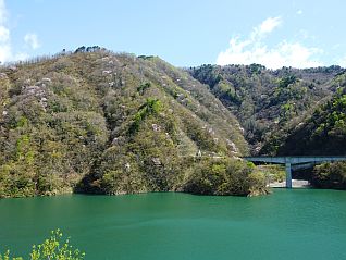 山桜が咲き始めました