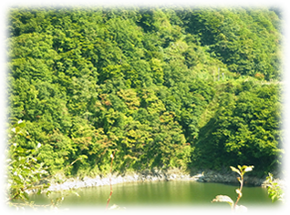 湖面からの景観