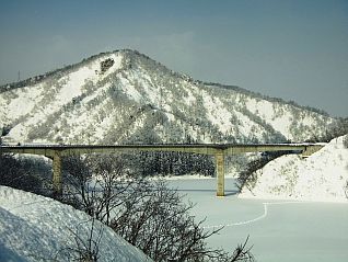 竜神大橋と網場 1月29日撮影