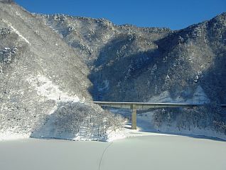 白つつじ橋の下にも網場？！