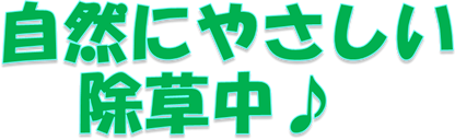 タイトル