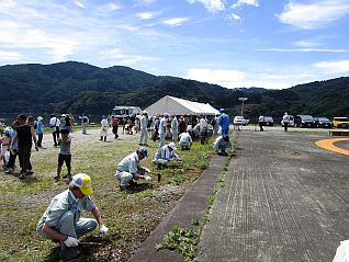 草刈り、ごみ拾い、流木回収などの活動状況