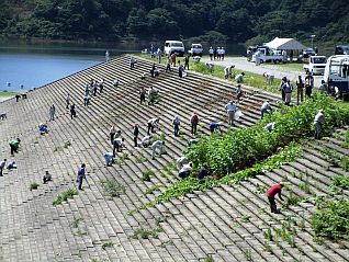 草刈り、ごみ拾い、流木回収などの活動状況