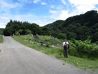 草刈り、ごみ拾い、流木回収などの活動状況