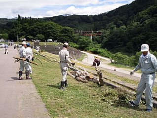 草刈り、ごみ拾い、流木回収などの活動状況